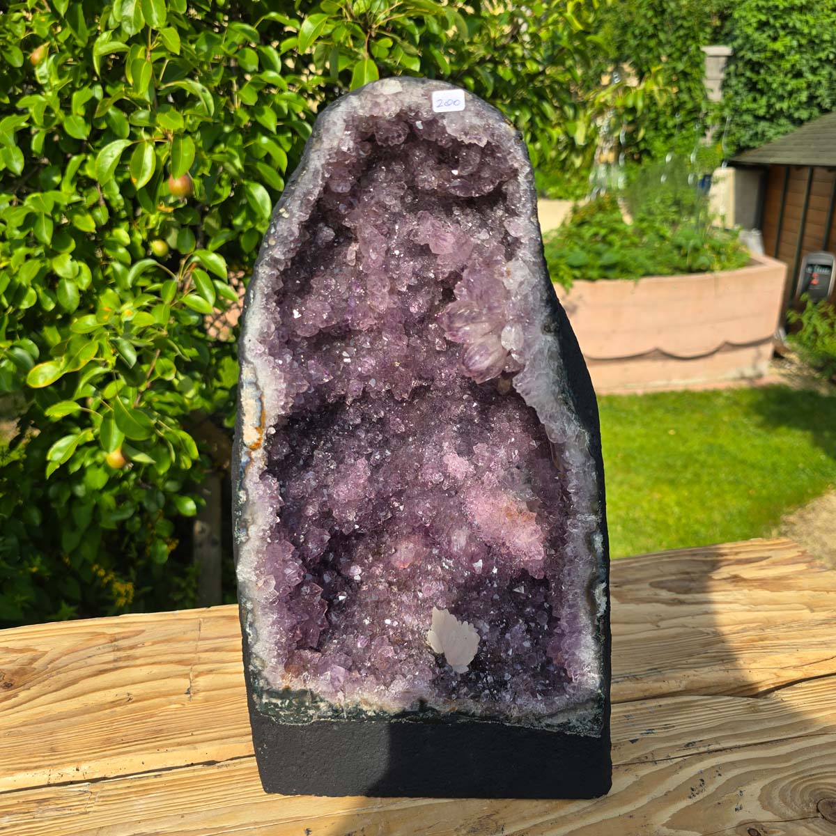 Amethyst Druse – Geode - 38x22x19cm und 14,2kg – Steinwelten OG - Nr. 200 displayed outdoors, perfect for elegant spaces.