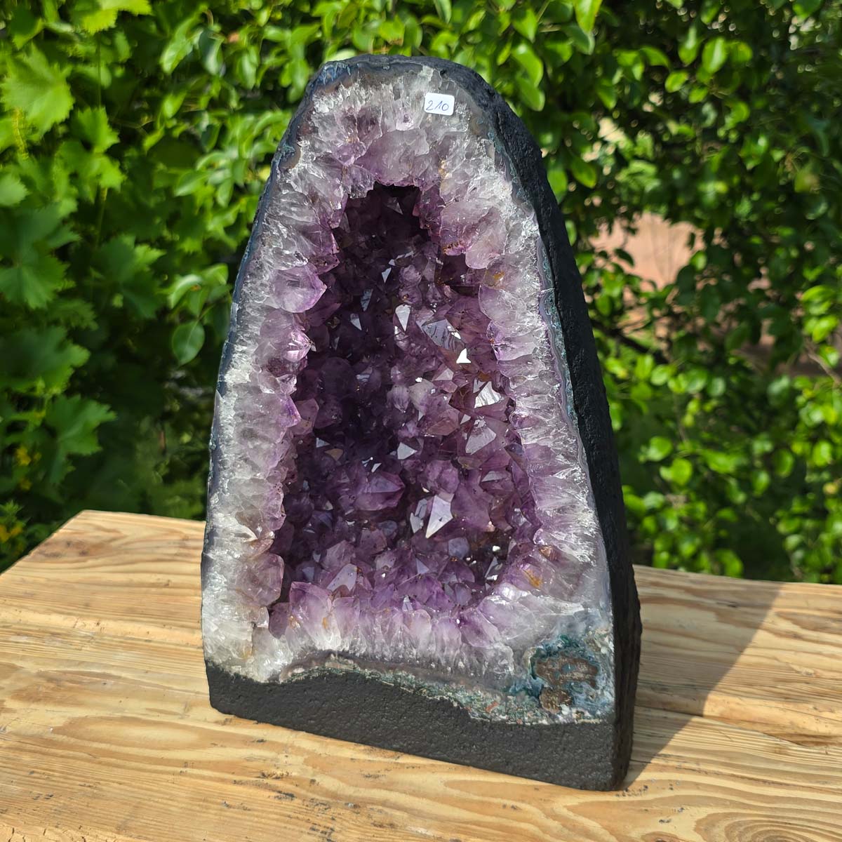 Amethyst Druse – Geode - 35x25x17cm und 16,6kg – Steinwelten OG - Nr. 210 displayed outdoors against greenery