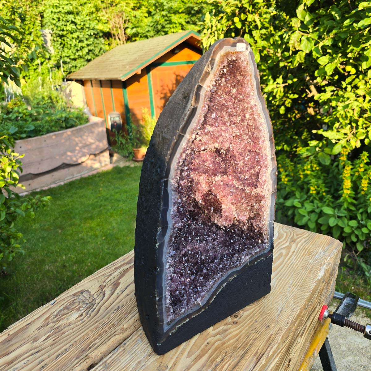 Amethyst Druse – Geode - 40x24x19cm und 17,4kg – Steinwelten OG - Nr. 215, unique piece showcasing natural beauty in lush garden setting