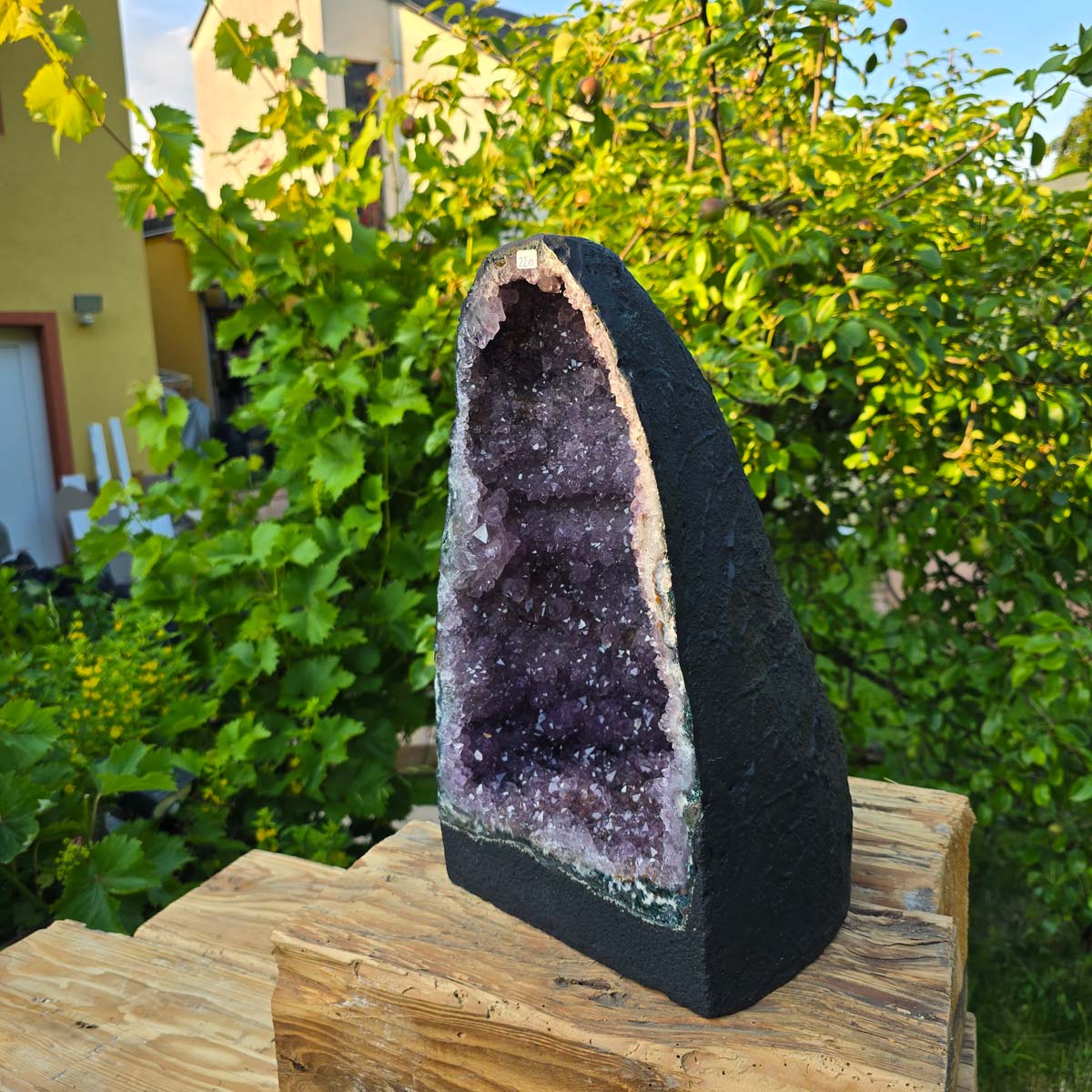 Amethyst Druse – Geode - 39x22x20cm und 14,4kg – Steinwelten OG - Nr. 220 in garden setting, unique crystal for decor.
