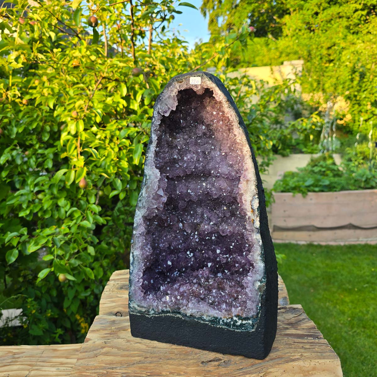 Amethyst Druse – Geode - 39x22x20cm und 14,4kg – Steinwelten OG - Nr. 220 displayed in a garden setting