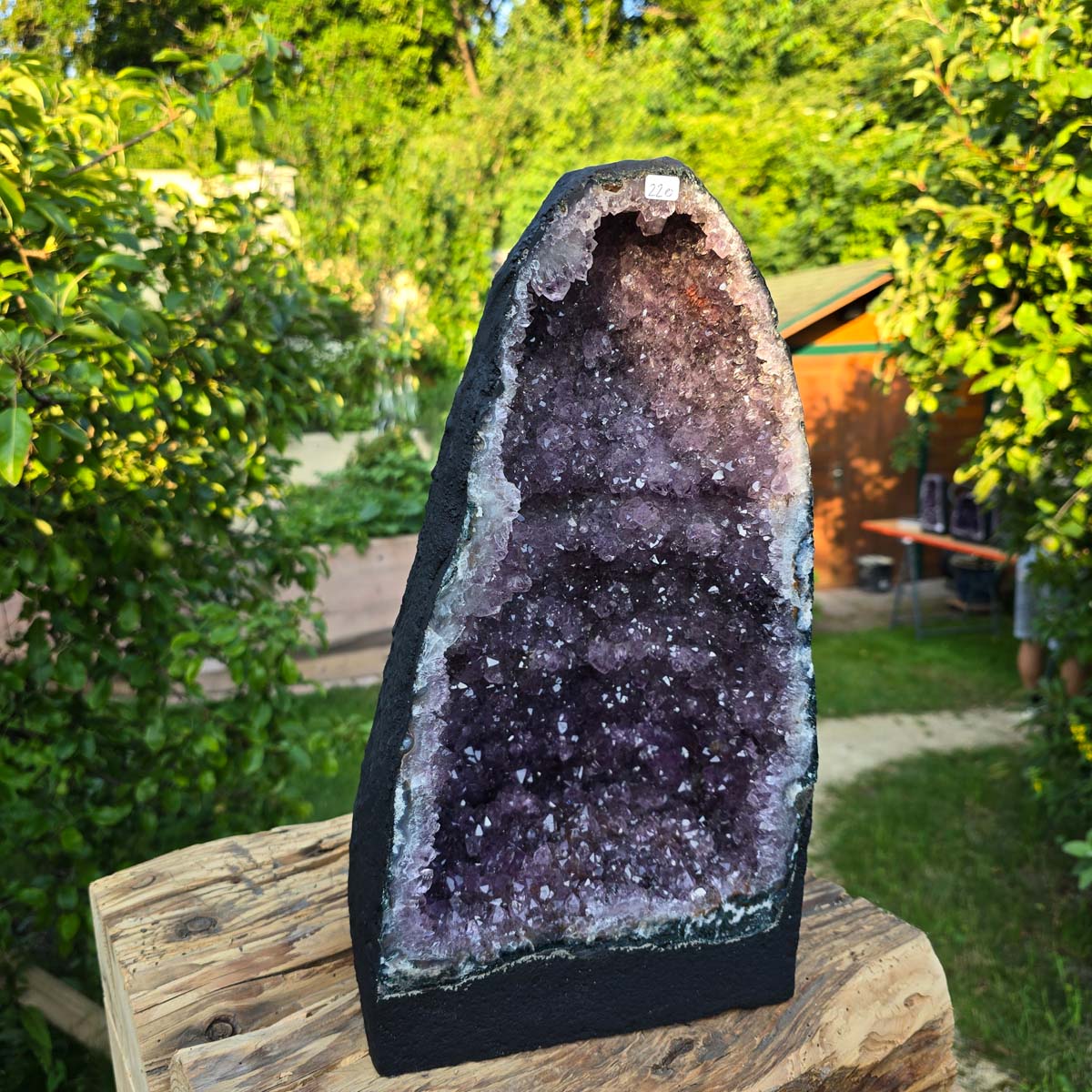 Amethyst Druse – Geode - 39x22x20cm und 14,4kg – Steinwelten OG - Nr. 220, unique crystal piece for stylish interiors and meditation spaces.