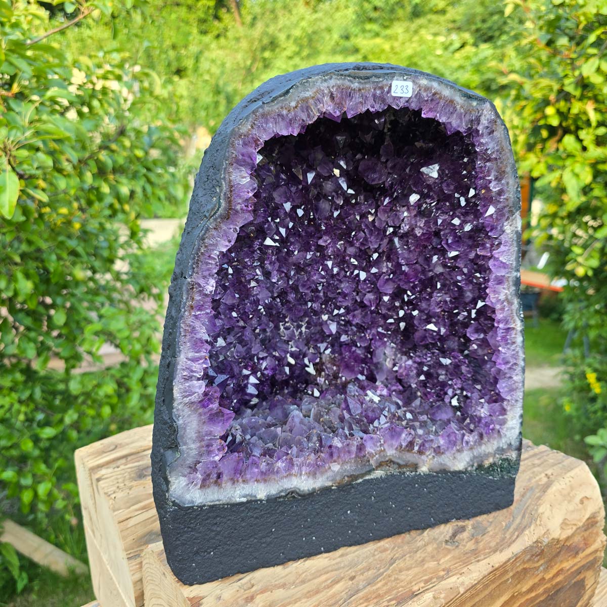 Amethyst Druse – Geode - 33x29x19cm und 18,6kg – Steinwelten OG - Nr. 233, unique decoration for stylish interiors.