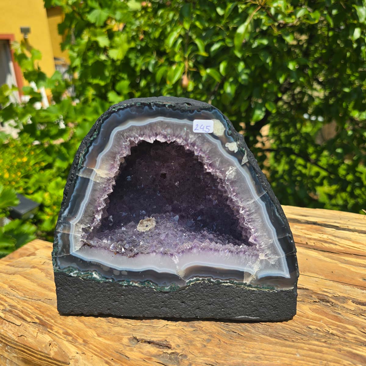 Amethyst Druse – Geode - 16x19x13cm und 4,4kg – Steinwelten OG - Nr. 245 on a wooden table, with a background of green foliage