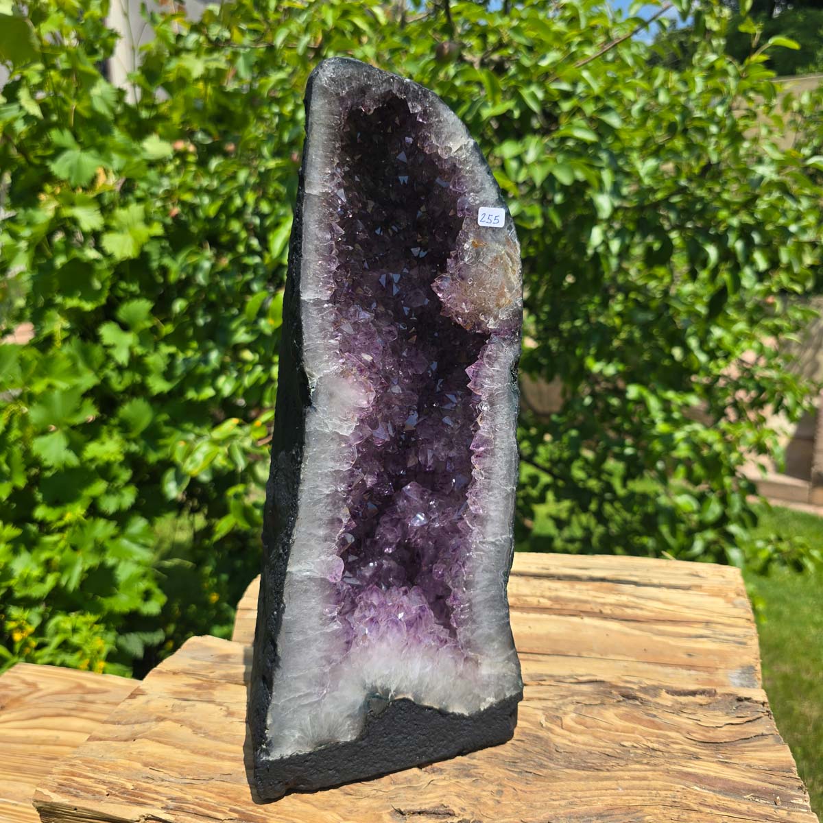 Amethyst Druse – Geode - 33x15x15cm und 7,2kg – Steinwelten OG - Nr. 255, unique crystal for decor