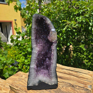 Amethyst Druse – Geode - 33x15x15cm und 7,2kg – Steinwelten OG - Nr. 255 on wooden surface with greenery background.