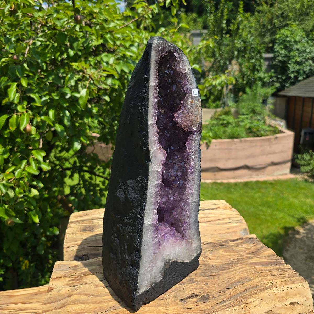 Amethyst Druse – Geode - 33x15x15cm und 7,2kg – Steinwelten OG - Nr. 255 in natural setting, perfect for decor and meditation.