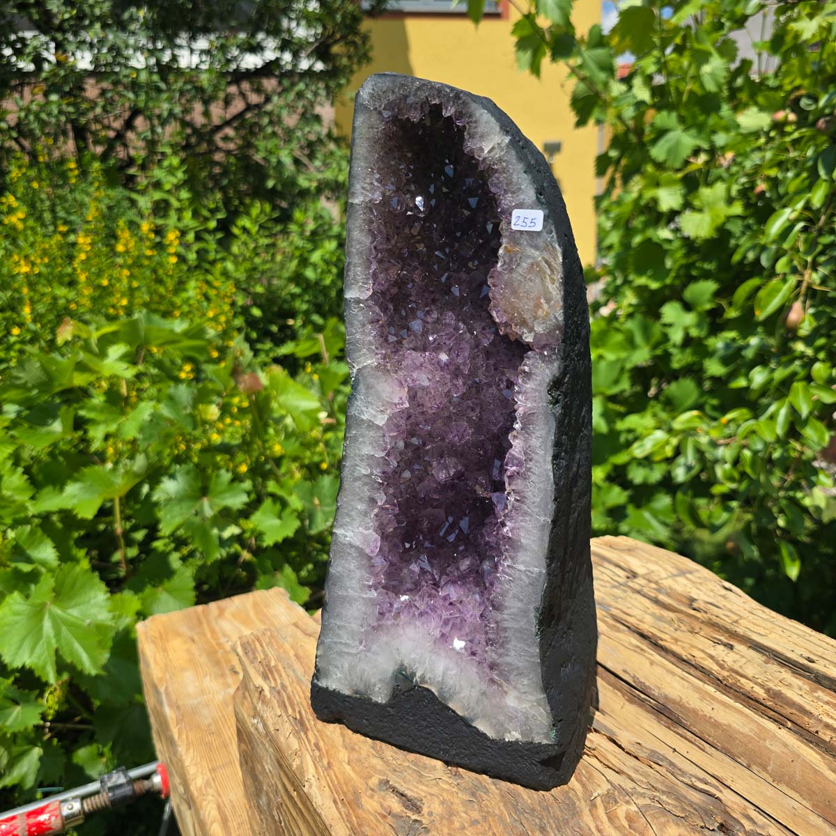 Amethyst Druse – Geode - 33x15x15cm und 7,2kg – Steinwelten OG - Nr. 255 displayed outdoors, unique decorative piece.