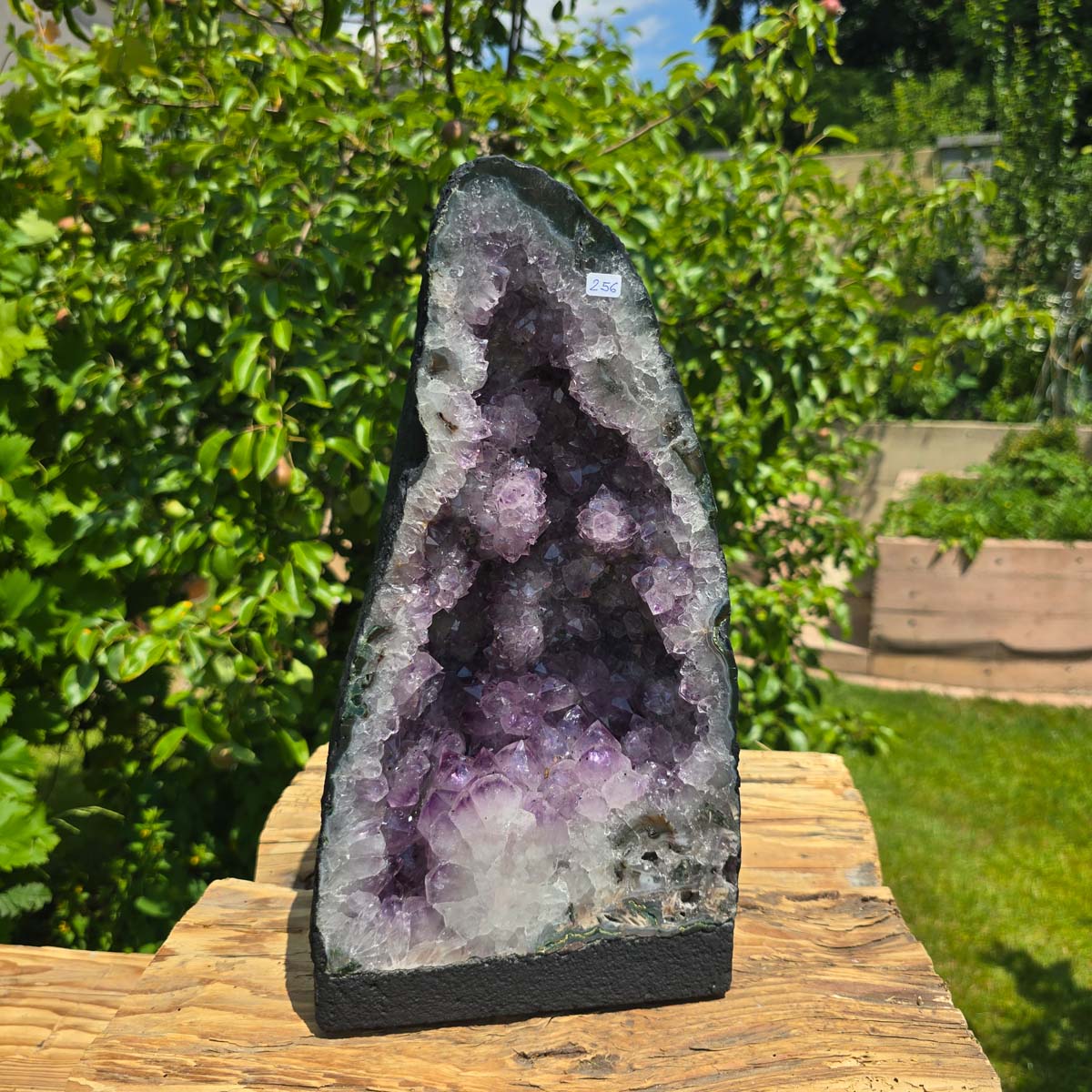 Amethyst Druse – Geode - 35x19x15cm und 10,2kg – Steinwelten OG - Nr. 256, unique amethyst crystal display for interiors and meditation spaces.