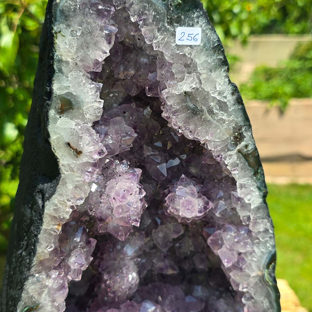 Amethyst Druse – Geode - 35x19x15cm und 10,2kg – Steinwelten OG - Nr. 256, ideal für repräsentative Raumgestaltung und Meditation.