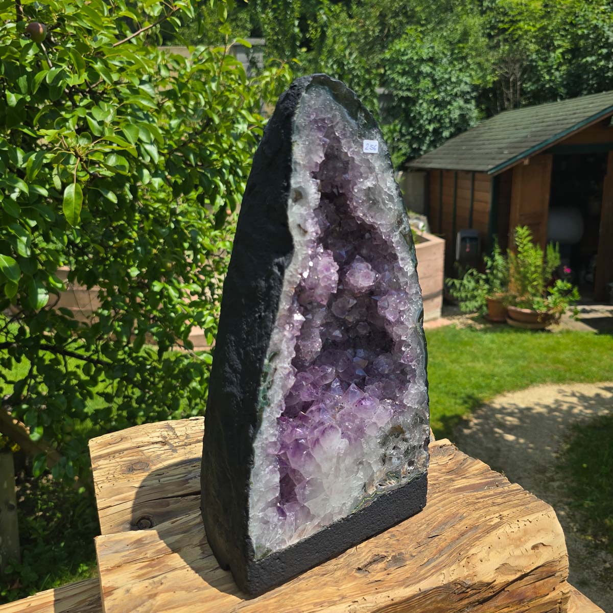Amethyst Druse – Geode - 35x19x15cm und 10,2kg – Steinwelten OG - Nr. 256 in a garden setting.