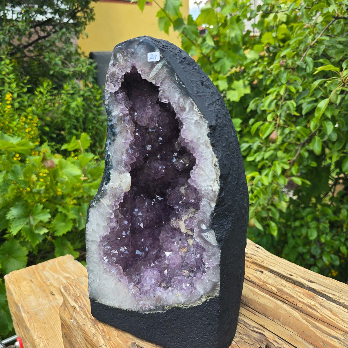 Amethyst Druse – Geode - 35x20x18cm und 13,6kg – Steinwelten OG - Nr. 259 for decorative and healing purposes.
