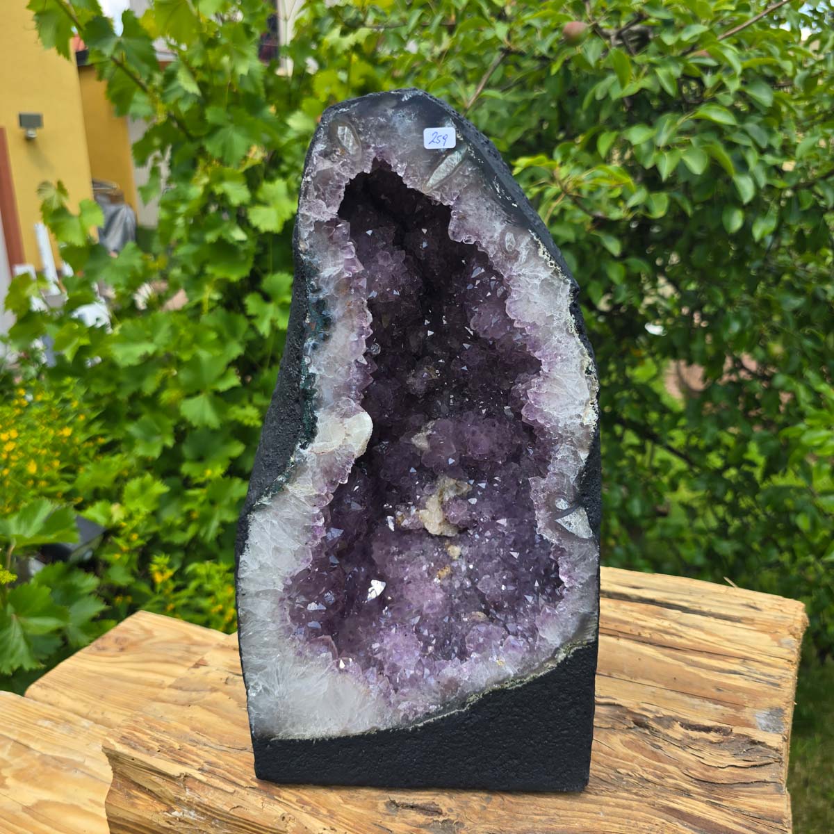 Amethyst Druse – Geode - 35x20x18cm und 13,6kg – Steinwelten OG - Nr. 259, ideal for decoration and meditation.
