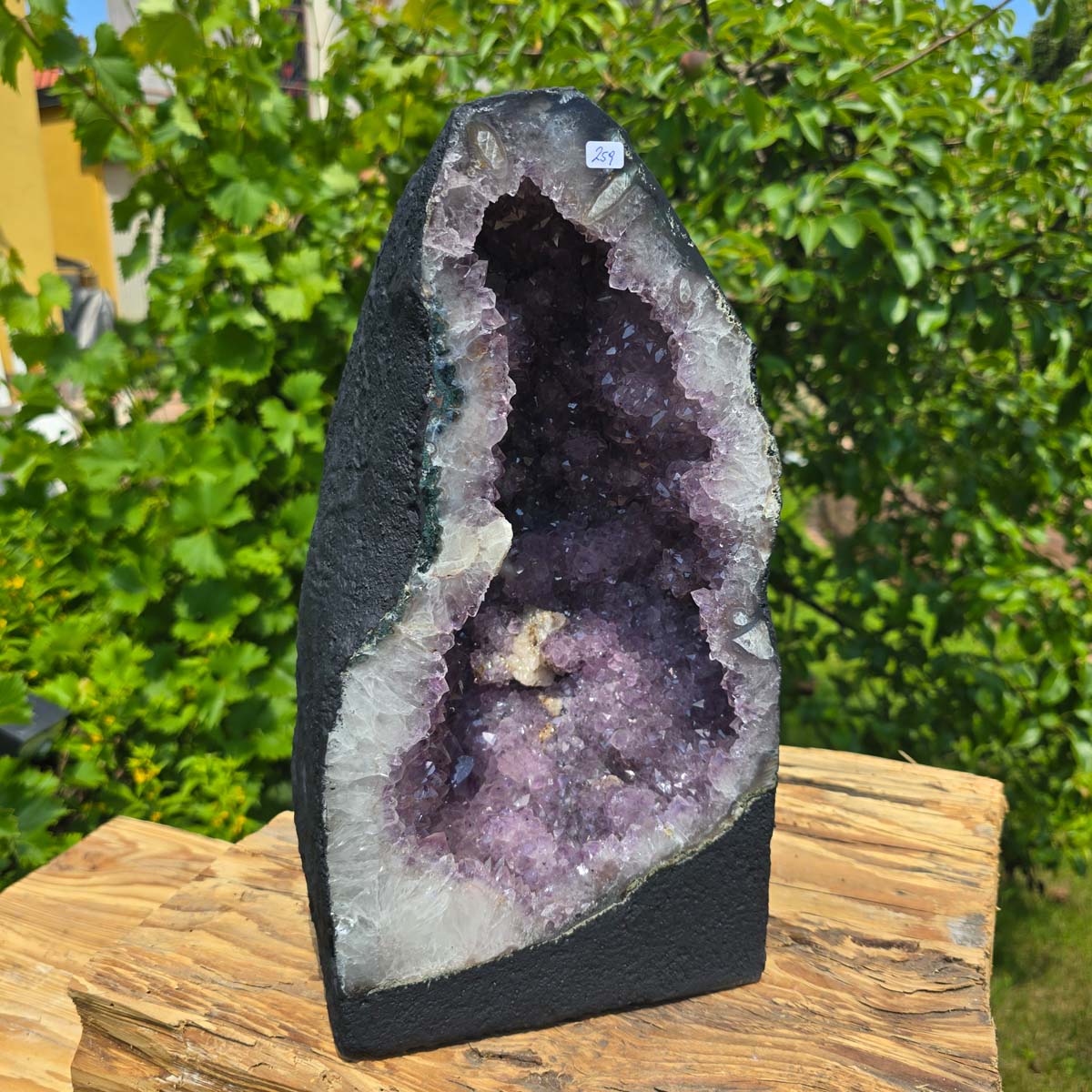 Amethyst Druse – Geode - 35x20x18cm und 13,6kg – Steinwelten OG - Nr. 259 exhibiting purple crystals outdoors.