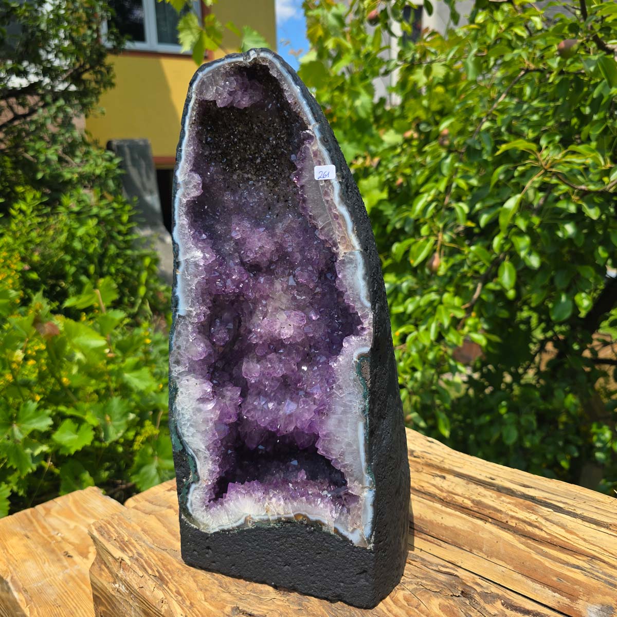 Amethyst Druse – Geode - 37x18x17cm und 10,4kg – Steinwelten OG - Nr. 261 displayed on a wooden surface outdoors