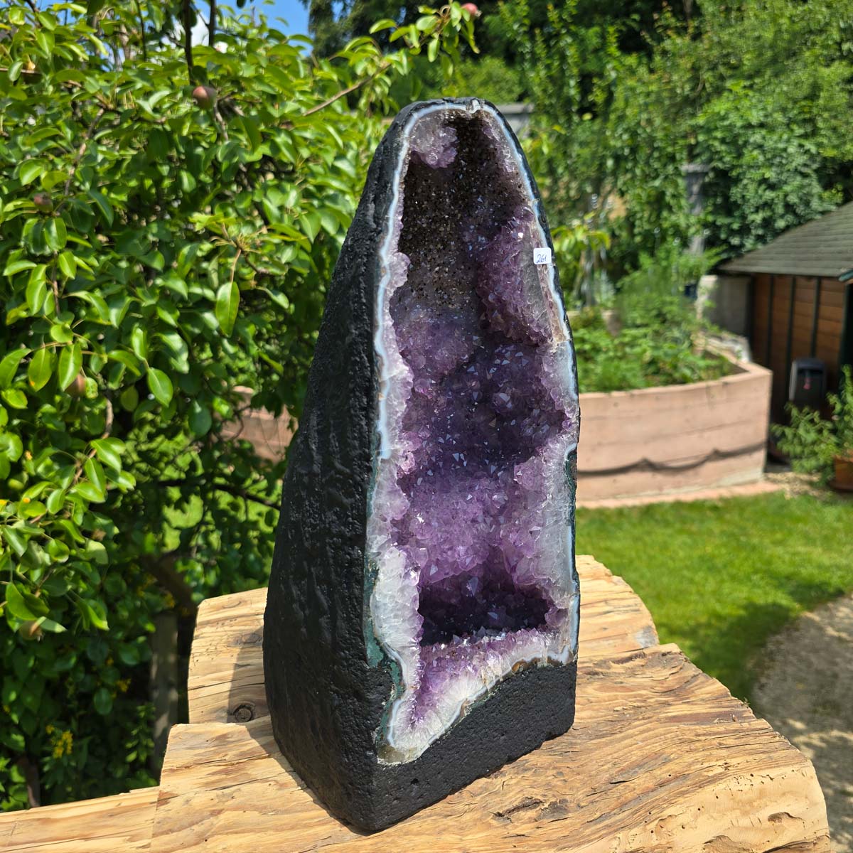 Amethyst Druse – Geode - 37x18x17cm und 10,4kg – Steinwelten OG - Nr. 261 displaying vibrant purple crystals outdoors.