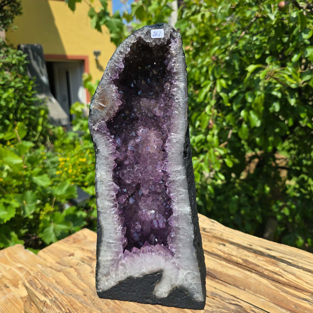 Amethyst Druse – Geode - 34x15x13cm und 7,8kg – Steinwelten OG - Nr. 263, standing in a garden setting
