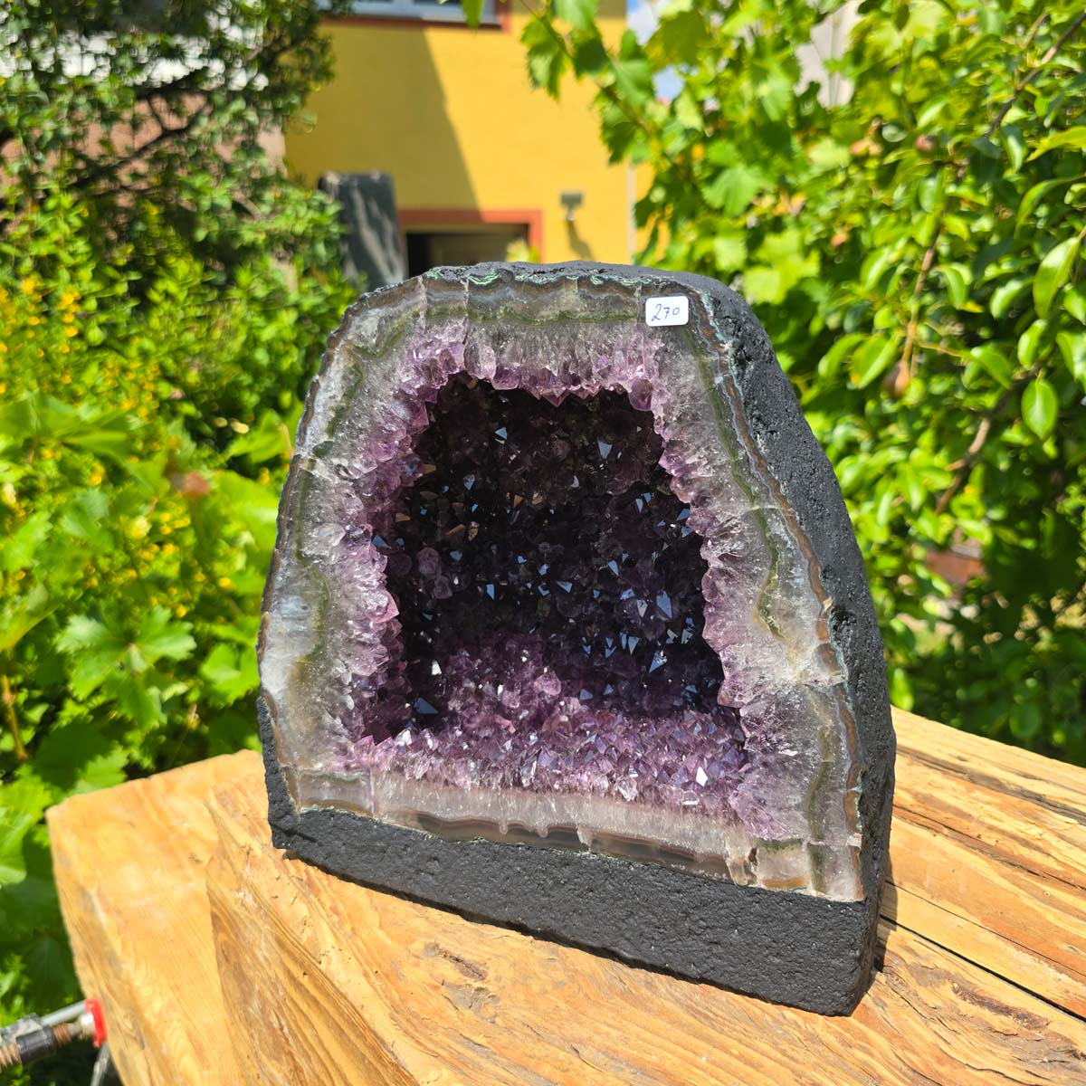 Amethyst Druse – Geode - 24x25x16cm und 11,6kg – Steinwelten OG - Nr. 270 im Sonnenlicht auf Holzdisplay