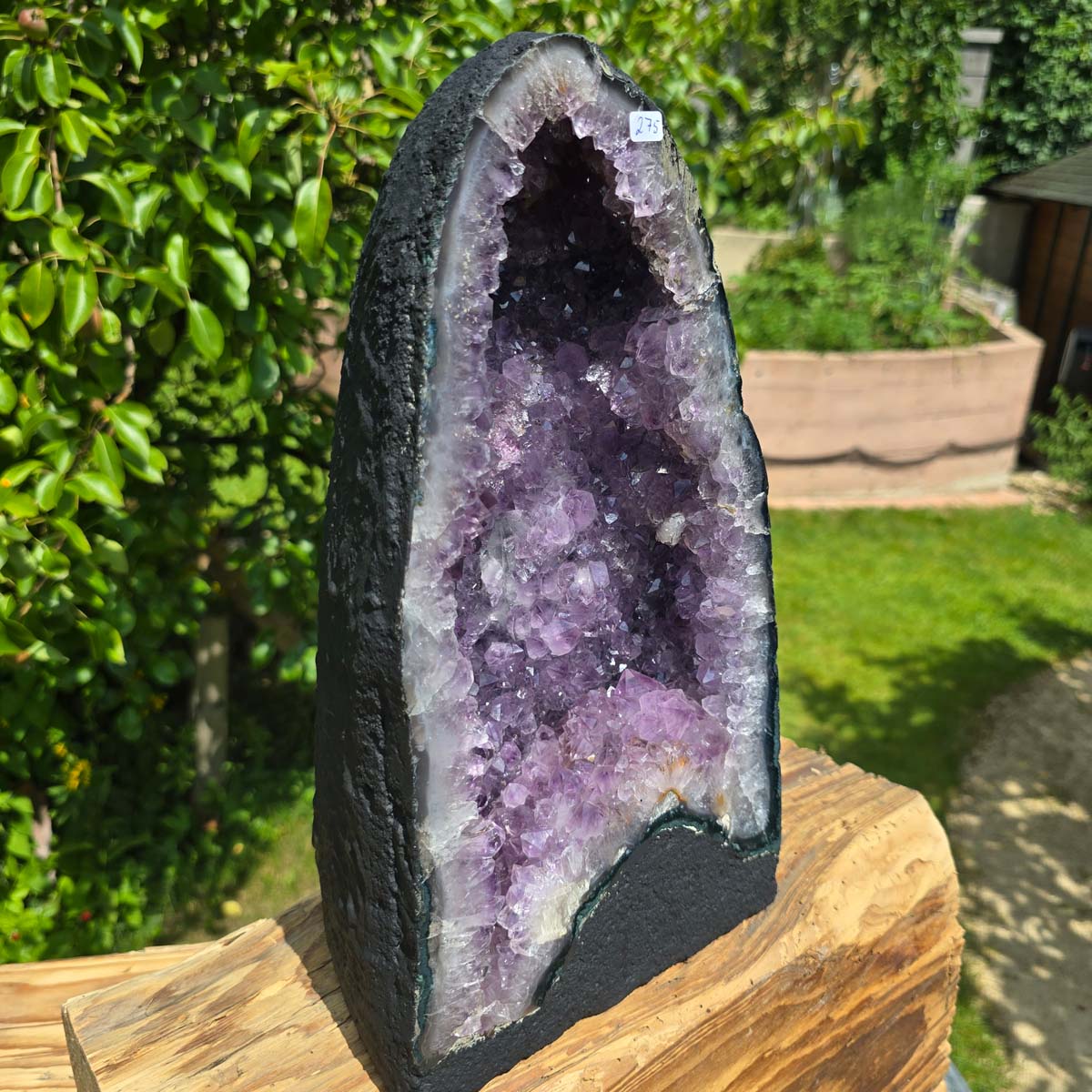 Amethyst Druse – Geode - 33x18x15cm und 9,4kg – Steinwelten OG - Nr. 275 standing on a wooden surface outdoors
