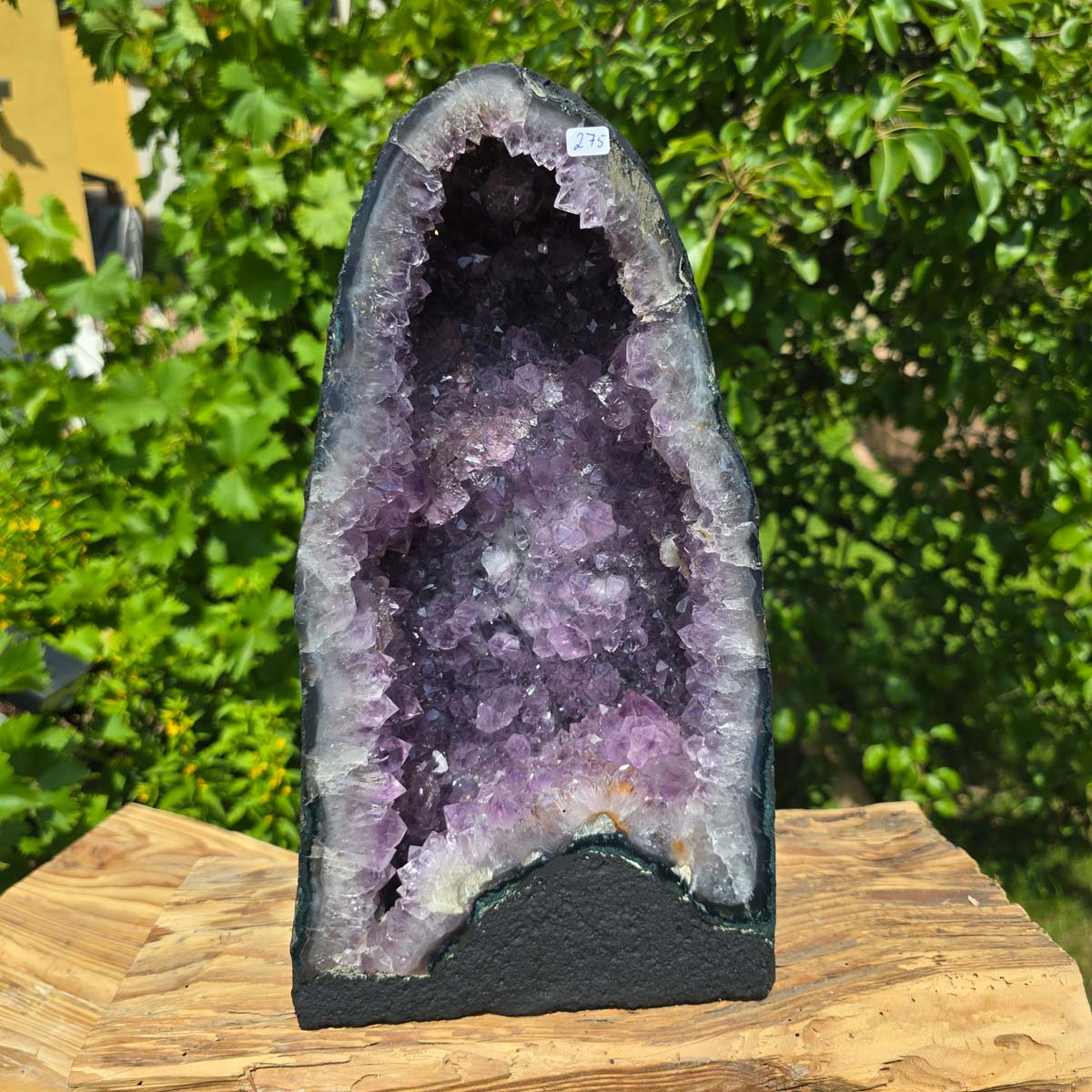 Amethyst Druse – Geode - 33x18x15cm und 9,4kg – Steinwelten OG - Nr. 275 displayed on a wooden stand outdoors.