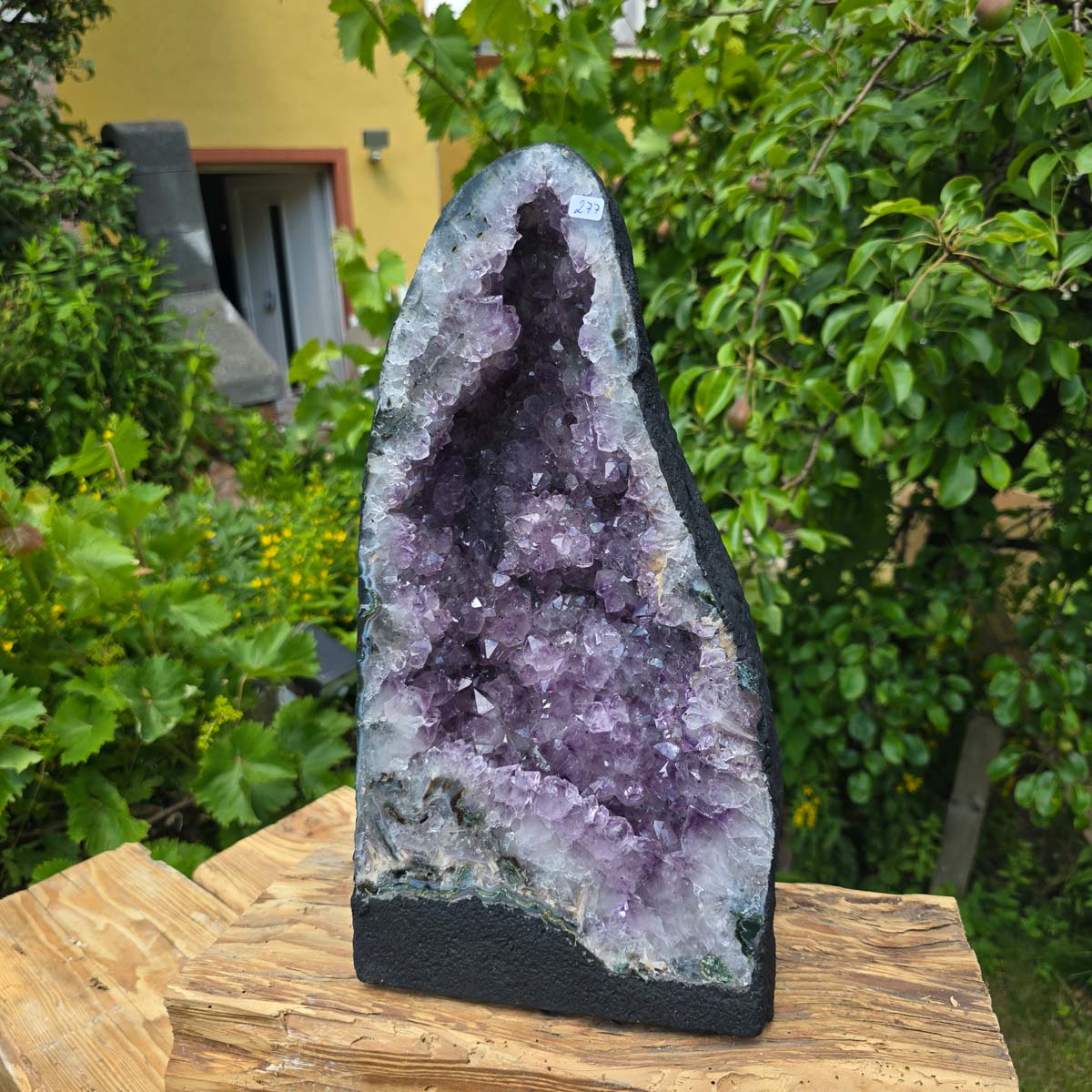 Amethyst Druse – Geode - 37x20x16cm und 11,2kg – Steinwelten OG - Nr. 277 on wooden table, surrounded by foliage.