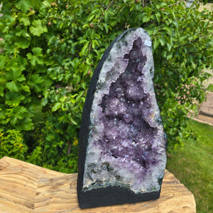 Amethyst Druse – Geode - 37x20x16cm und 11,2kg – Steinwelten OG - Nr. 277 displayed outdoors amid green foliage.