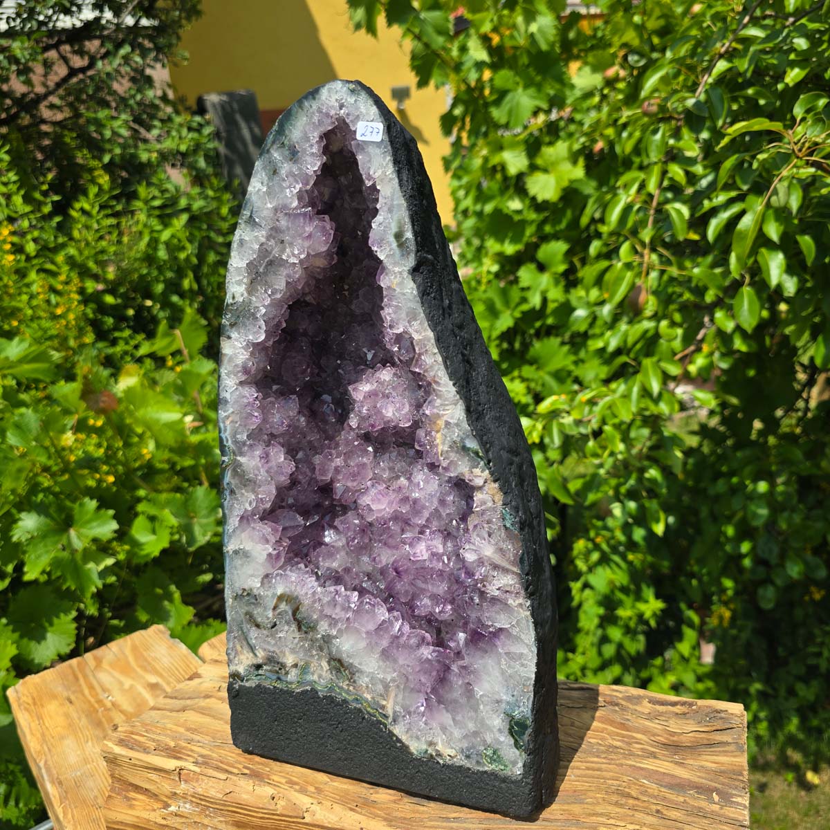 Amethyst Druse – Geode - 37x20x16cm und 11,2kg – Steinwelten OG - Nr. 277 displayed outdoors on wooden stand