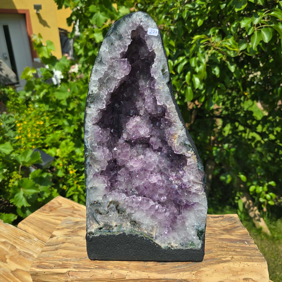Amethyst Druse – Geode - 37x20x16cm und 11,2kg – Steinwelten OG - Nr. 277 in green garden setting