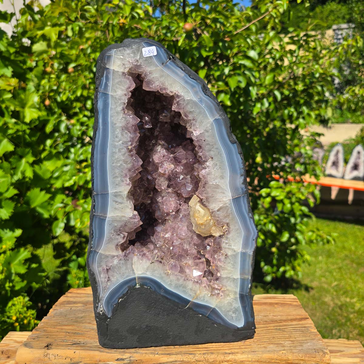 Amethyst Druse – Geode - 35x20x16cm und 14kg – Steinwelten OG - Nr. 284, helle brasilianische Kristalle im Garten