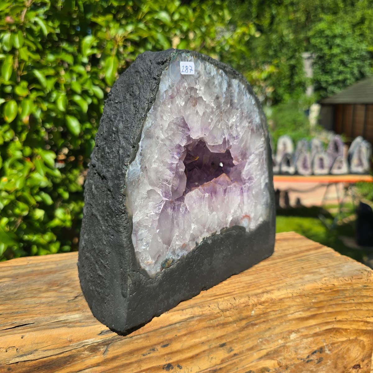 Amethyst Druse – Geode - 19x20cm und 6,5kg – Steinwelten OG - Nr. 287 aus Brasilien mit hellleuchtenden Kristallen