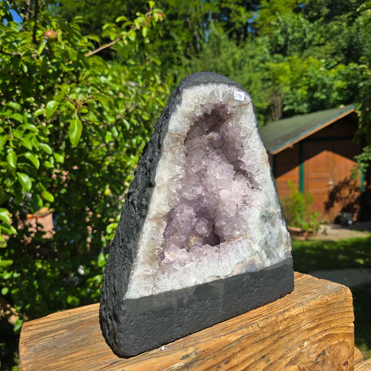 Amethyst Druse – Geode - 26x23cm und 8,9kg – Steinwelten OG - Nr. 290 mit leuchtenden Kristallen aus Brasilien im Sonnenlicht