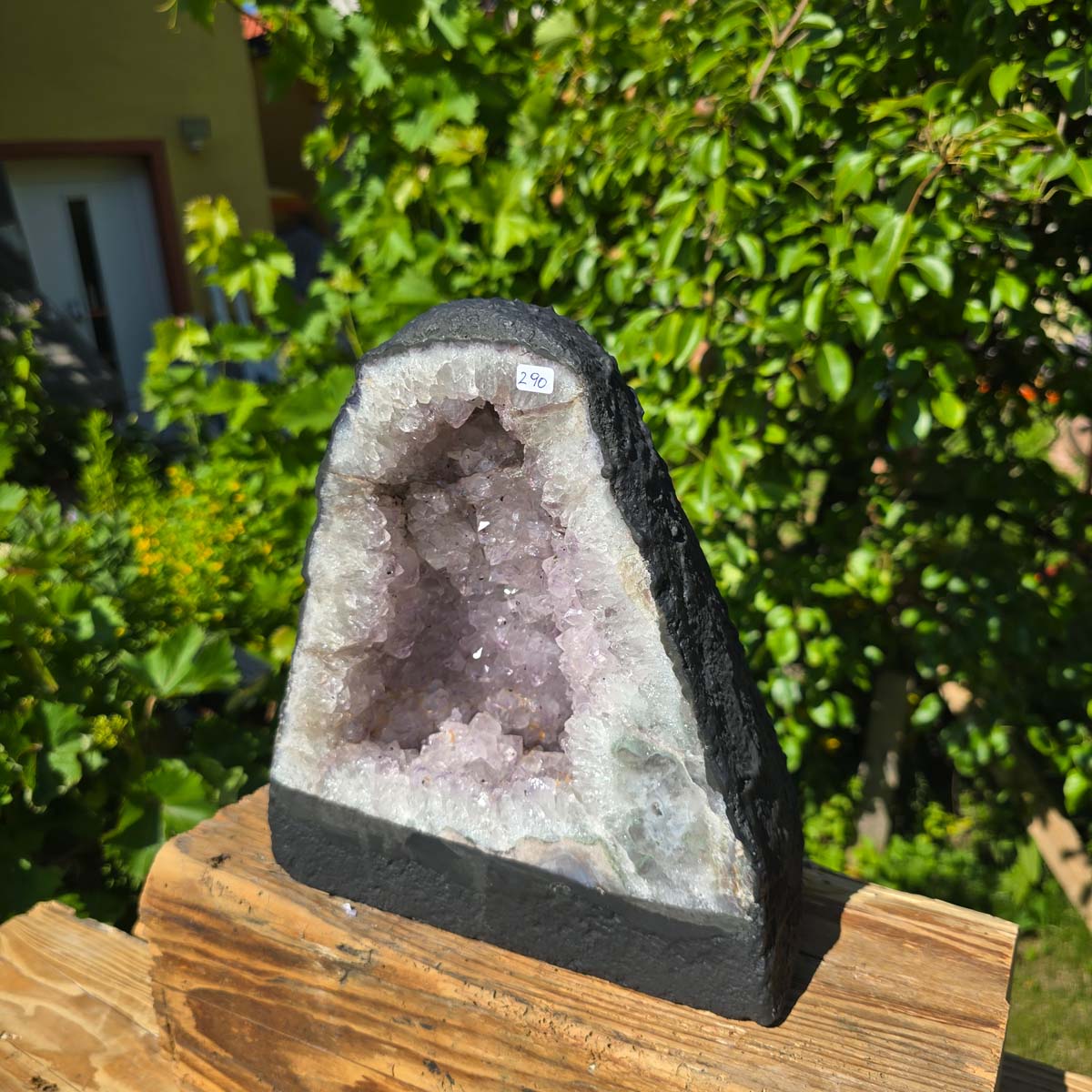 Amethyst Druse – Geode - 26x23cm und 8,9kg – Steinwelten OG - Nr. 290, leuchtende Kristalle in Gartenumgebung ausgestellt