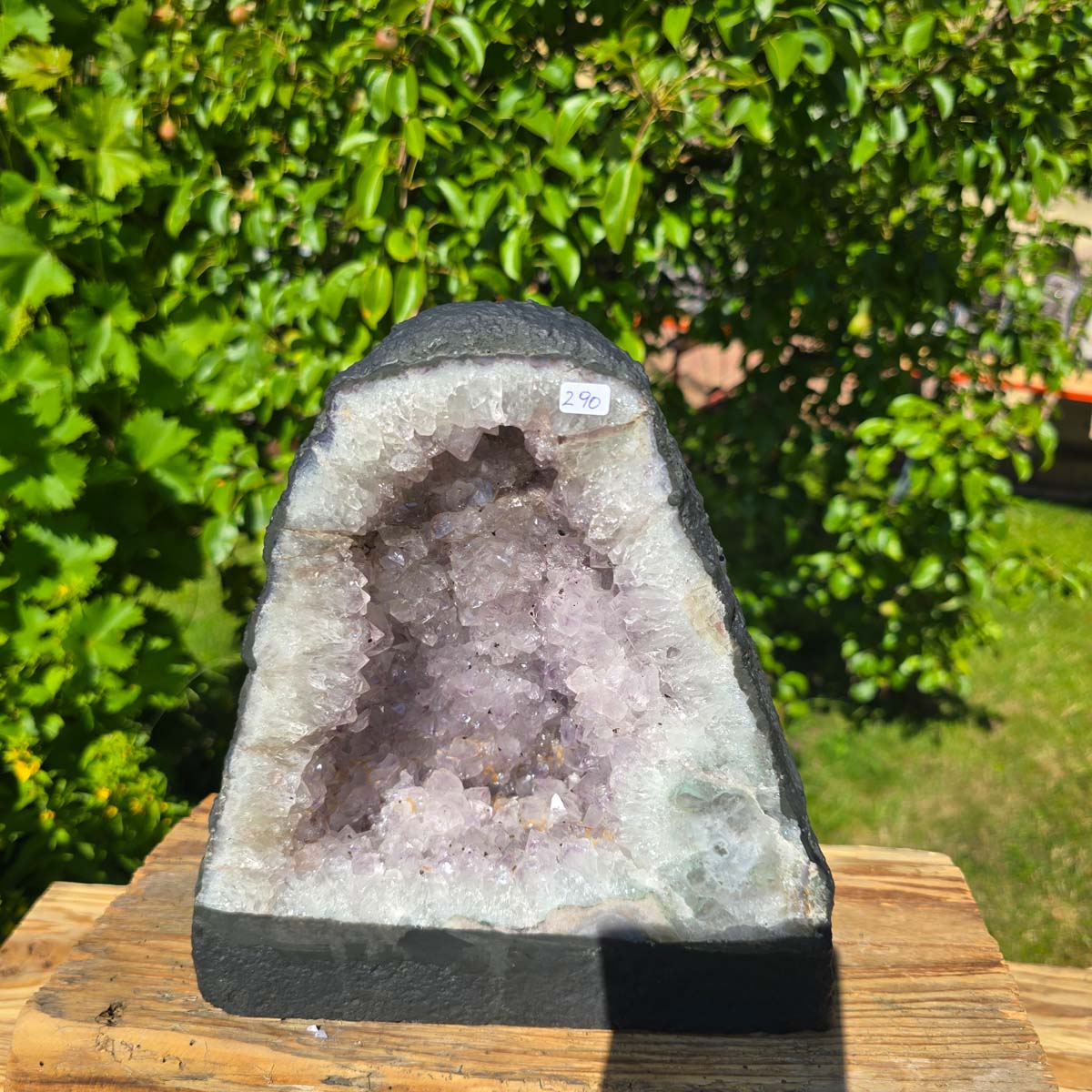 Amethyst Druse – Geode - 26x23cm und 8,9kg – Steinwelten OG - Nr. 290 in sunlight, featuring bright crystals, from Brazil, on a wooden surface