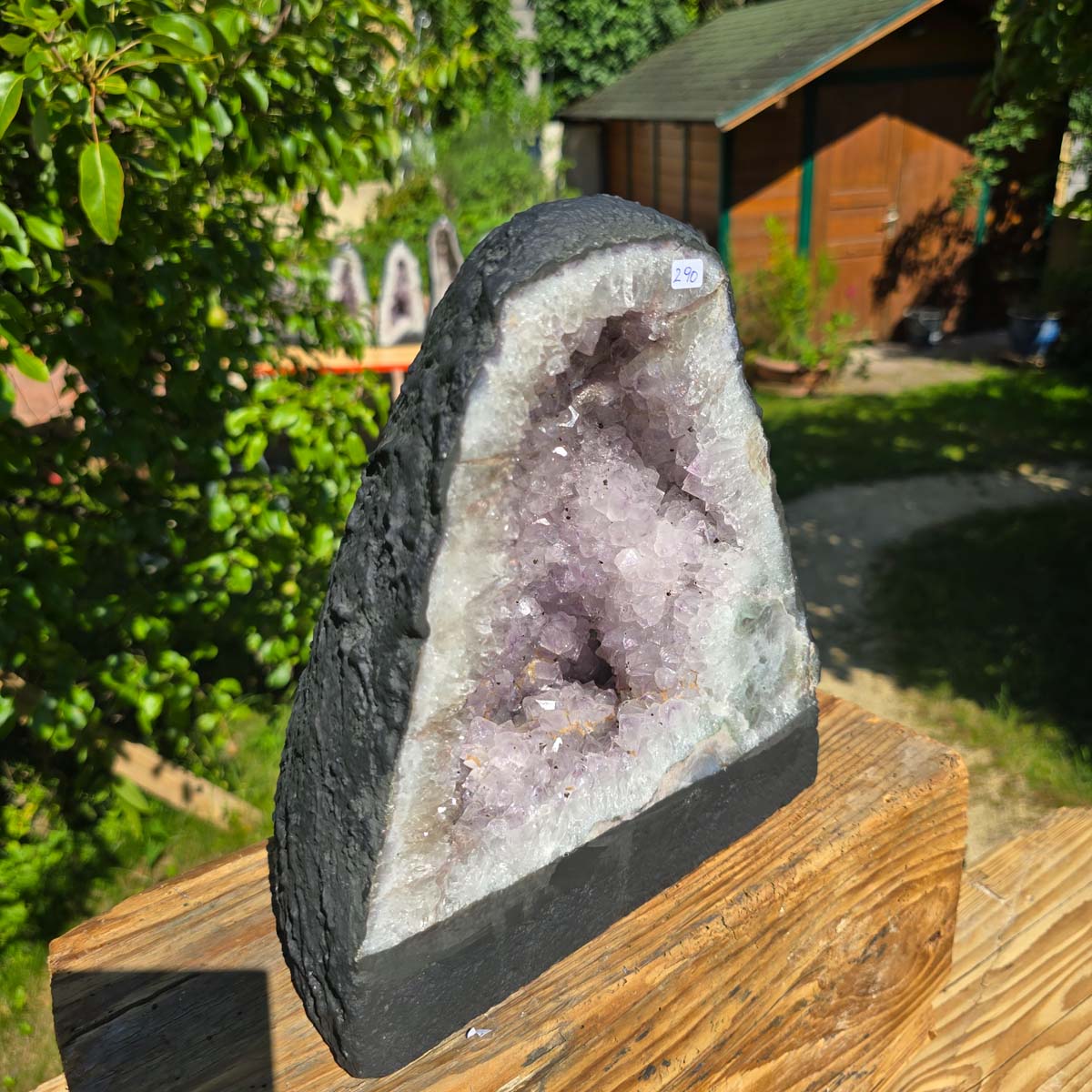 Amethyst Druse – Geode - 26x23cm und 8,9kg – Steinwelten OG - Nr. 290 in sunlight, featuring bright crystals, from Brazil, on a wooden surface