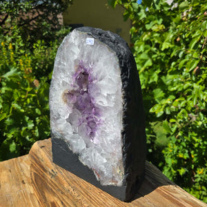Amethyst Druse – Geode - 25x18cm und 7,8kg – Steinwelten OG - Nr. 292 with bright crystals from Brazil.