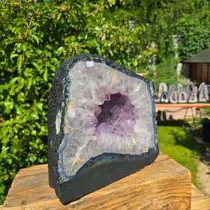 Helle Amethyst Druse Geode 26x25cm 15,4kg Brasilien Steinwelten OG Nr. 302 mit leuchtenden Kristallen im Abverkauf