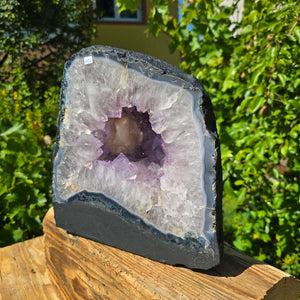 Amethyst Druse – Geode - 26x25cm und 15,4kg – Steinwelten OG - Nr. 302 aus Brasilien mit hellvioletten Kristallen