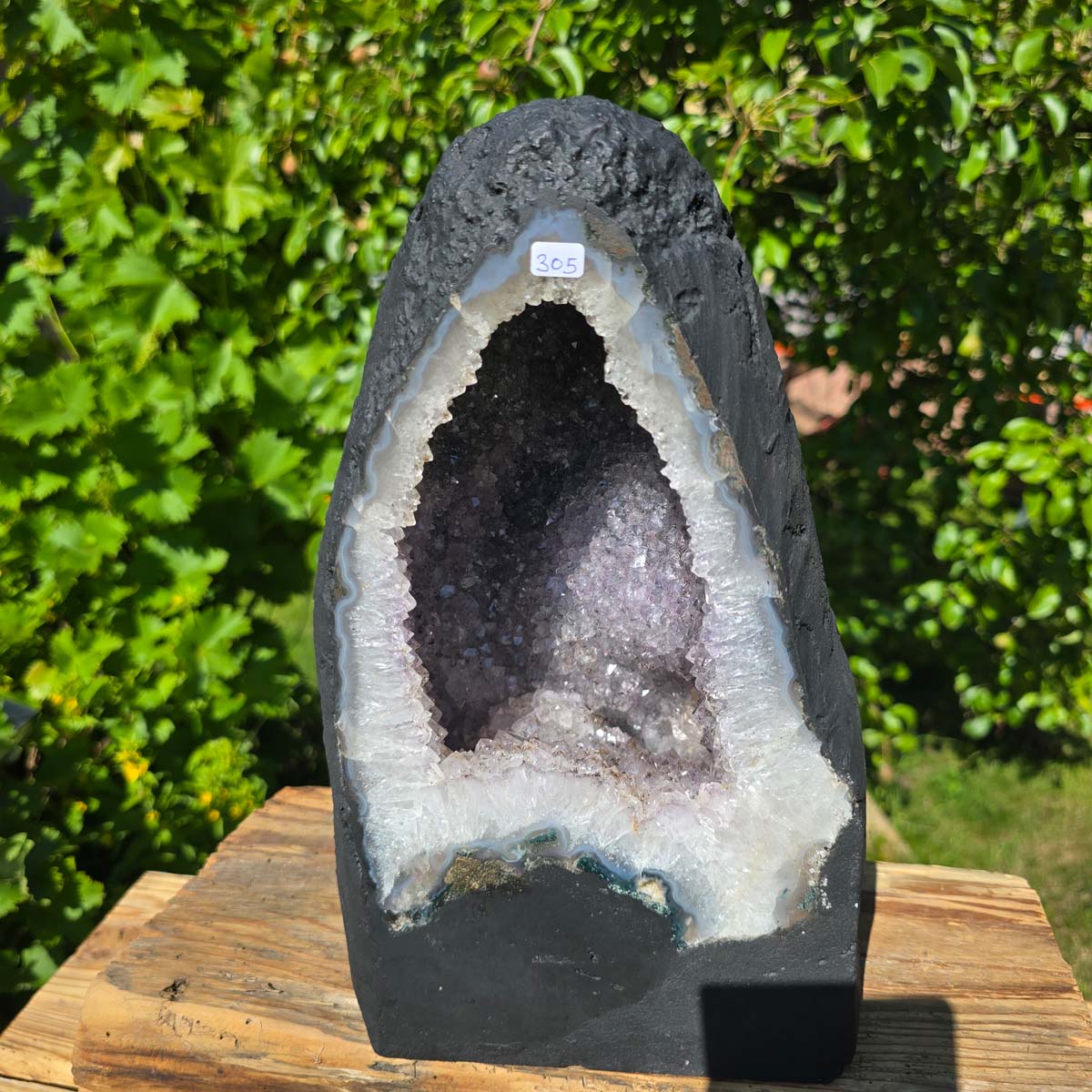 Amethyst Druse – Geode - 31x19cm und 12kg – Steinwelten OG - Nr. 305, helle Kristalle, Brasilien, für Wohnraum