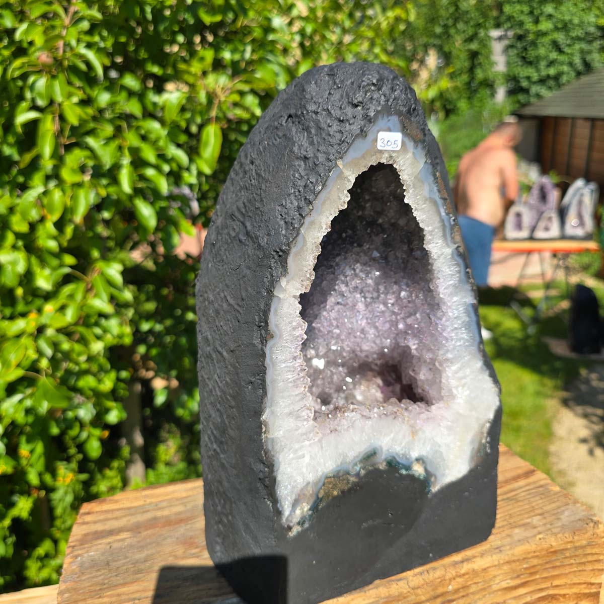Amethyst Druse – Geode - 31x19cm und 12kg – Steinwelten OG - Nr. 305 on display with vibrant crystals