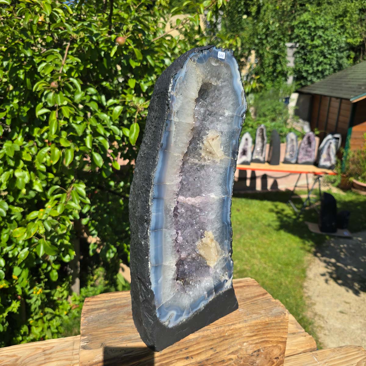 Amethyst Druse – Geode - 46x20cm und 17,6kg – Steinwelten OG - Nr. 306, leuchtende brasilianische Kristalle im Verkauf.