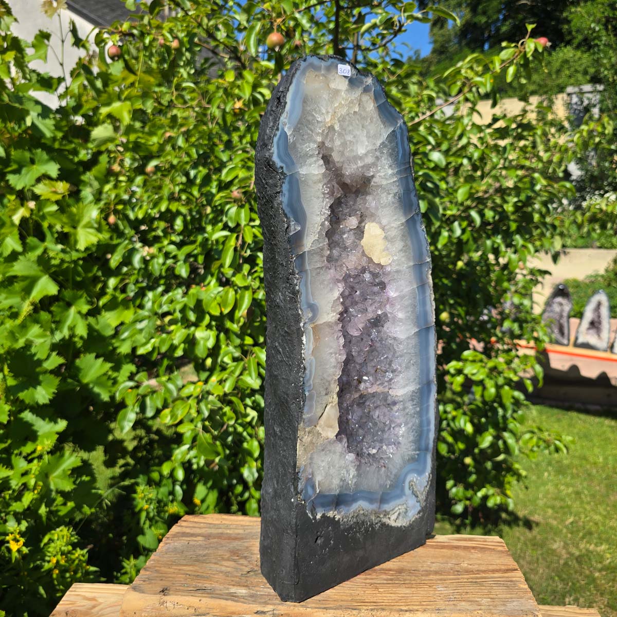 Amethyst Druse – Geode - 48x19cm und 16,6kg – Steinwelten OG - Nr. 308 auf Holzständer im Garten fotografiert