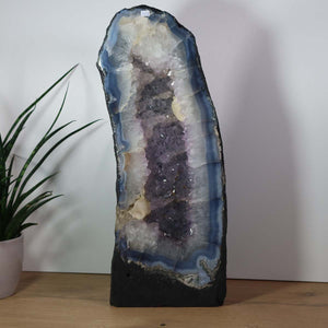 Amethyst Druse – Geode - 48x19cm und 16,6kg – Steinwelten OG - Nr. 308 in bright Brazilian crystals on display