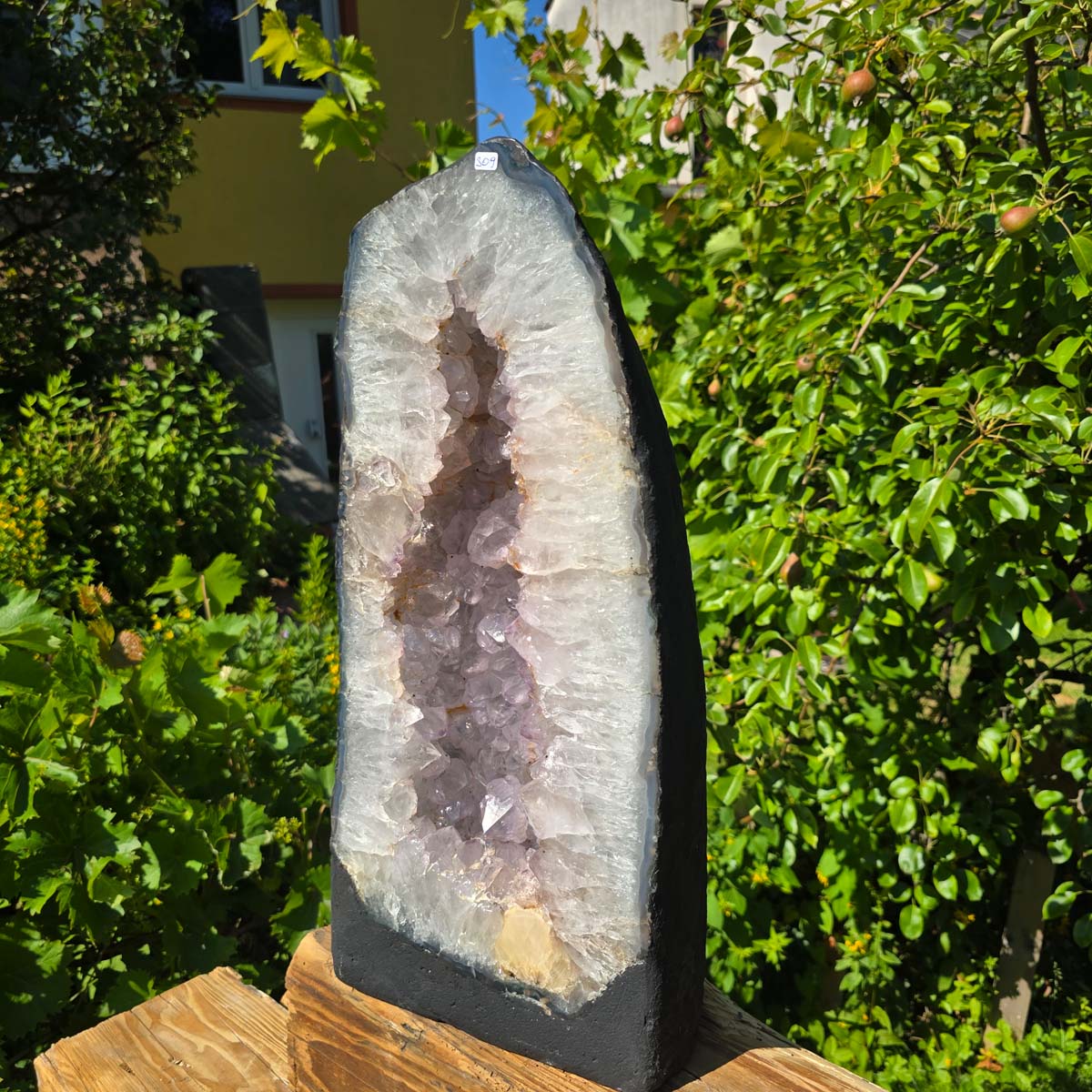 Amethyst Druse – Geode - 52x23cm und 25,9kg – Steinwelten OG - Nr. 309, helle leuchtende Kristalle aus Brasilien
