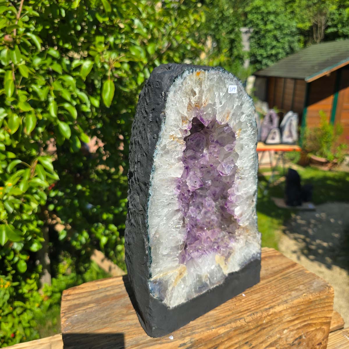 Amethyst Druse – Geode - 30x20x13cm und 9,8kg – Steinwelten OG - Nr. 319 in einem Garten auf einem Holzsockel