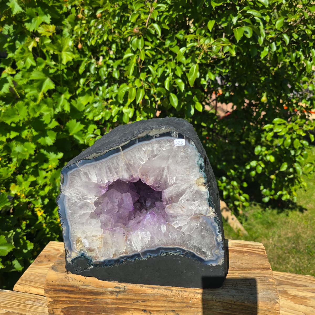 Amethyst Druse – Geode - 25x26cm und 18,8kg – Steinwelten OG - Nr. 325 from Brazil, featuring bright, light purple crystals on a wooden surface.