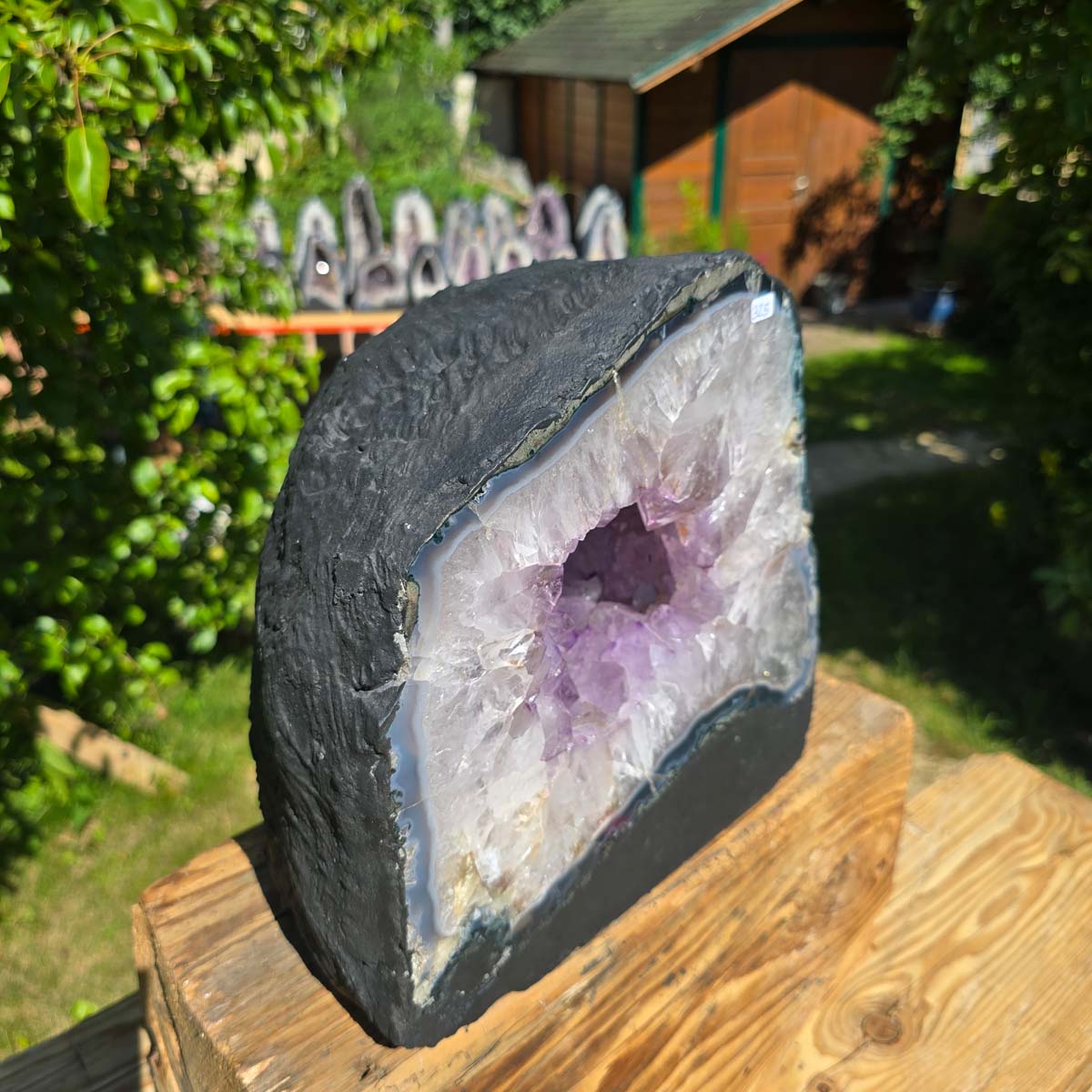 Amethyst Druse – Geode - 25x26cm und 18,8kg – Steinwelten OG - Nr. 325 from Brazil, featuring bright, light purple crystals on a wooden surface.