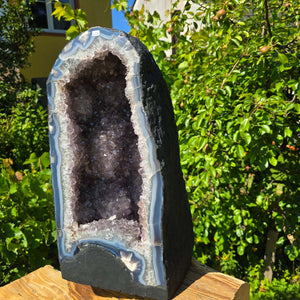 Amethyst Druse – Geode - 47x24cm und 32,9kg – Steinwelten OG - Nr. 327 with bright Brazilian crystals