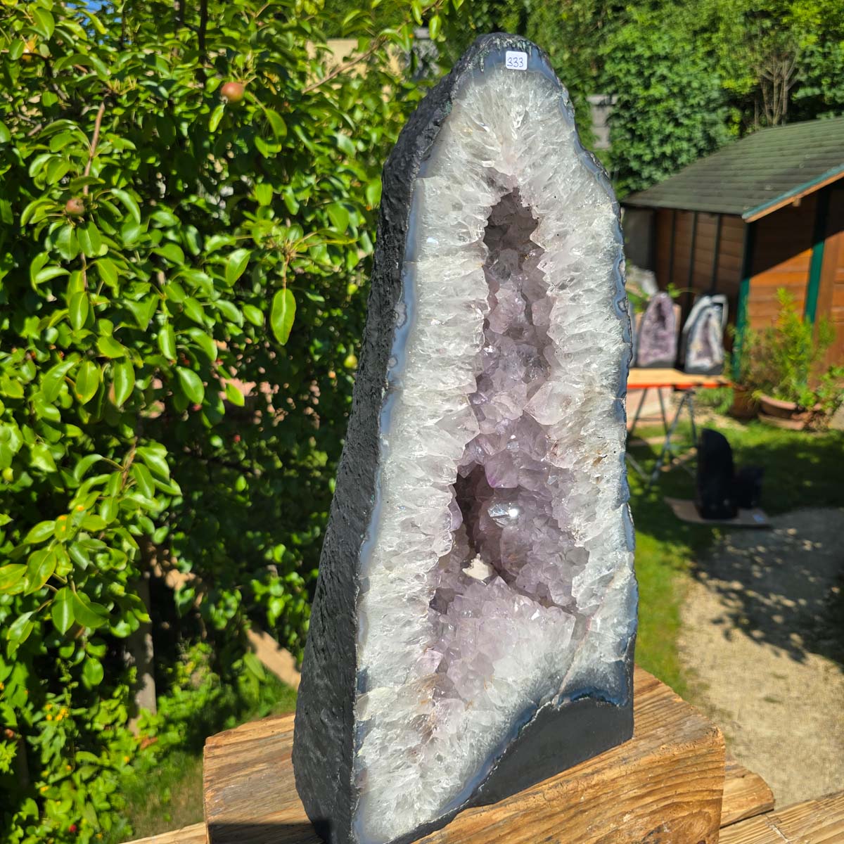 Amethyst Druse – Geode - 47x24x21cm und 22kg – Steinwelten OG - Nr. 333, leuchtend hellviolette Kristalle im Sonnenlicht