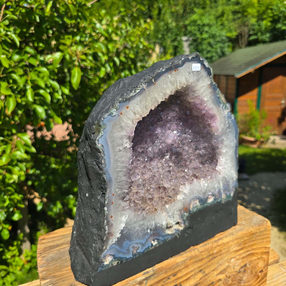 Amethyst Druse – Geode - 28x27cm und 14,6kg – Steinwelten OG - Nr. 335, leuchtende Kristalle, Brasilien, Wohnraum Deko
