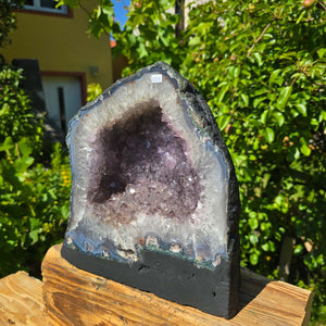 Amethyst Druse – Geode - 28x27cm und 14,6kg – Steinwelten OG - Nr. 335 in sunlight with vibrant crystal colors.